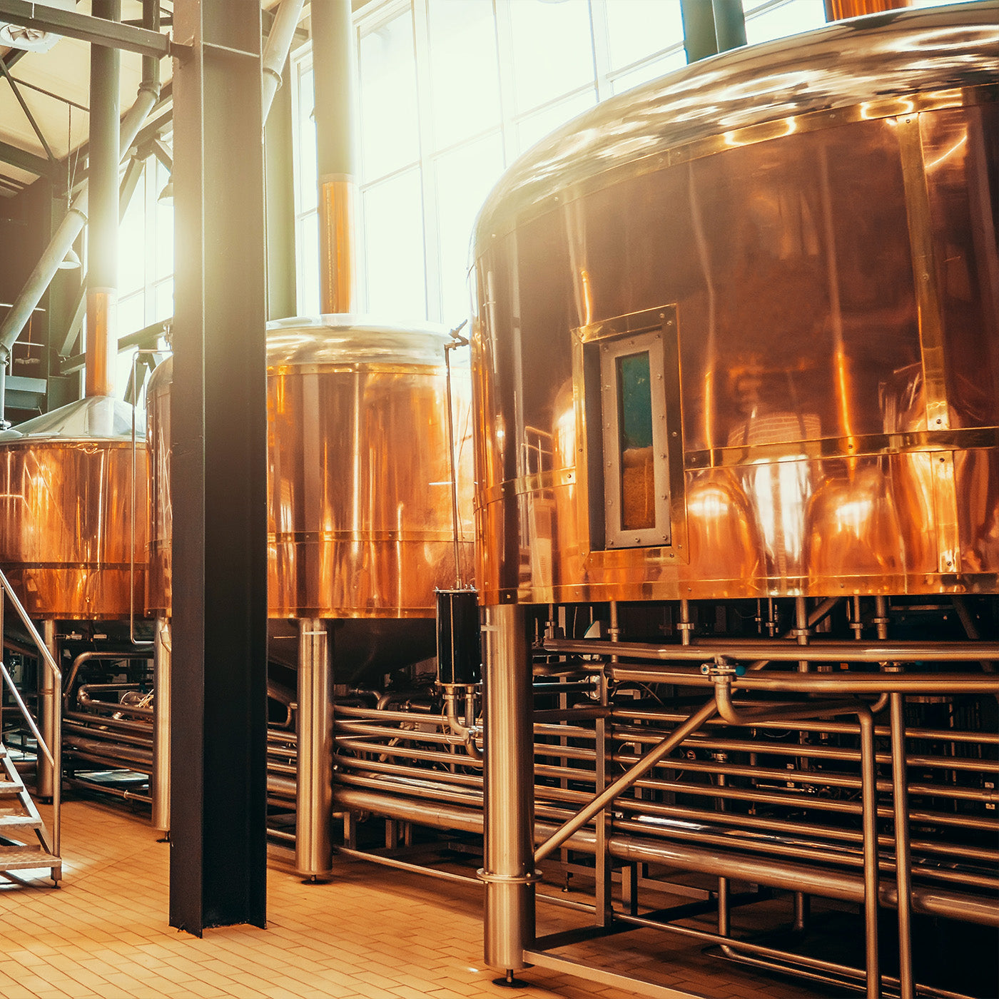 Mehrere Braukessel stehen in einer Halle einer Brauerei