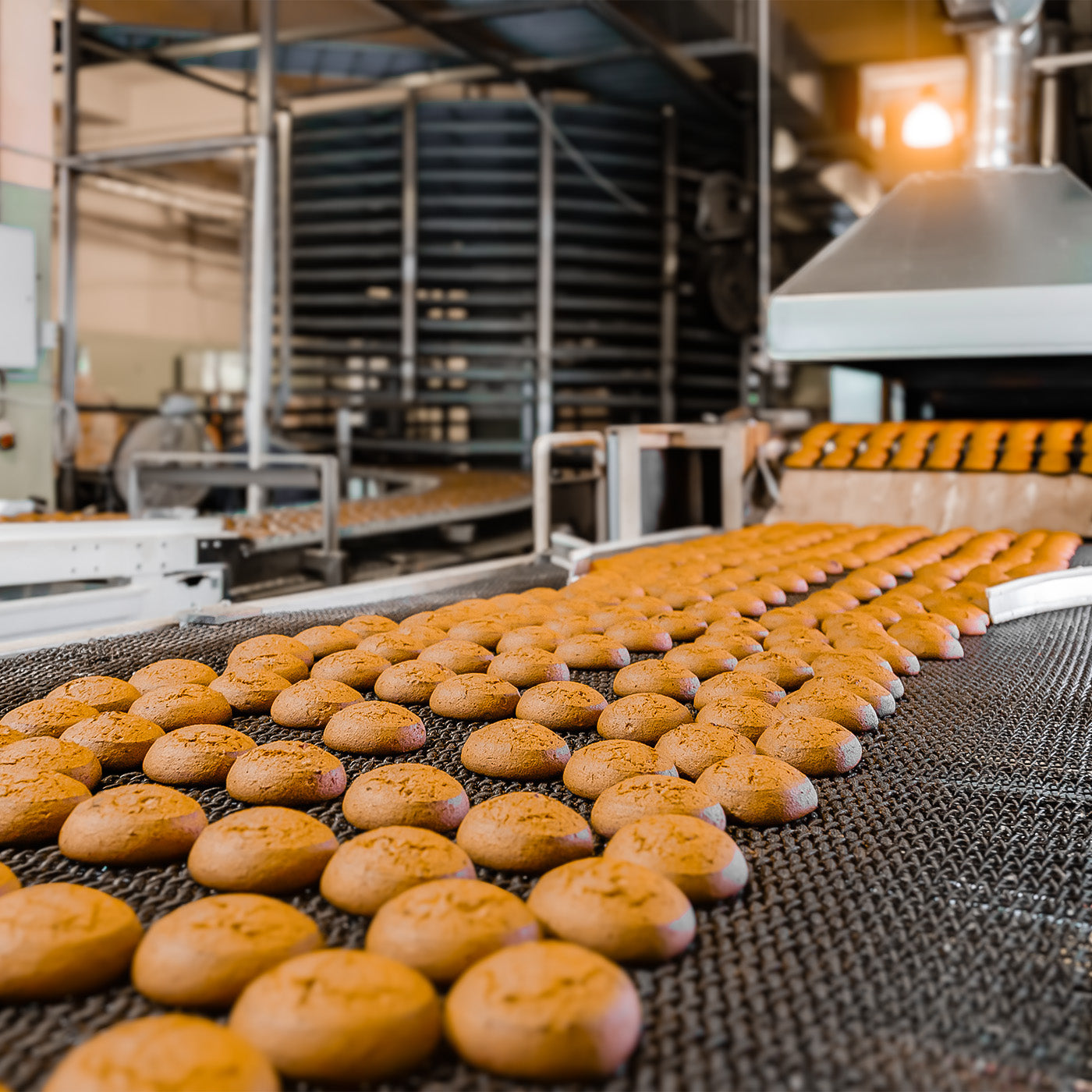 Brötchen laufen in einer Großbäckerei auf einem Förderband aus einem Ofen